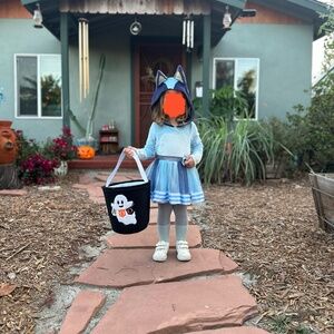 Bluey family costumes